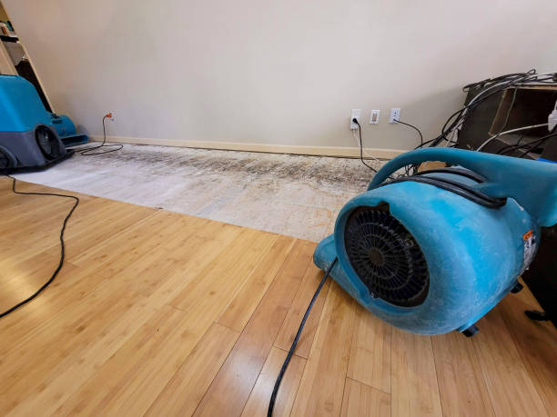 Professional Basement Flood Cleanup technician working in Ector, TX